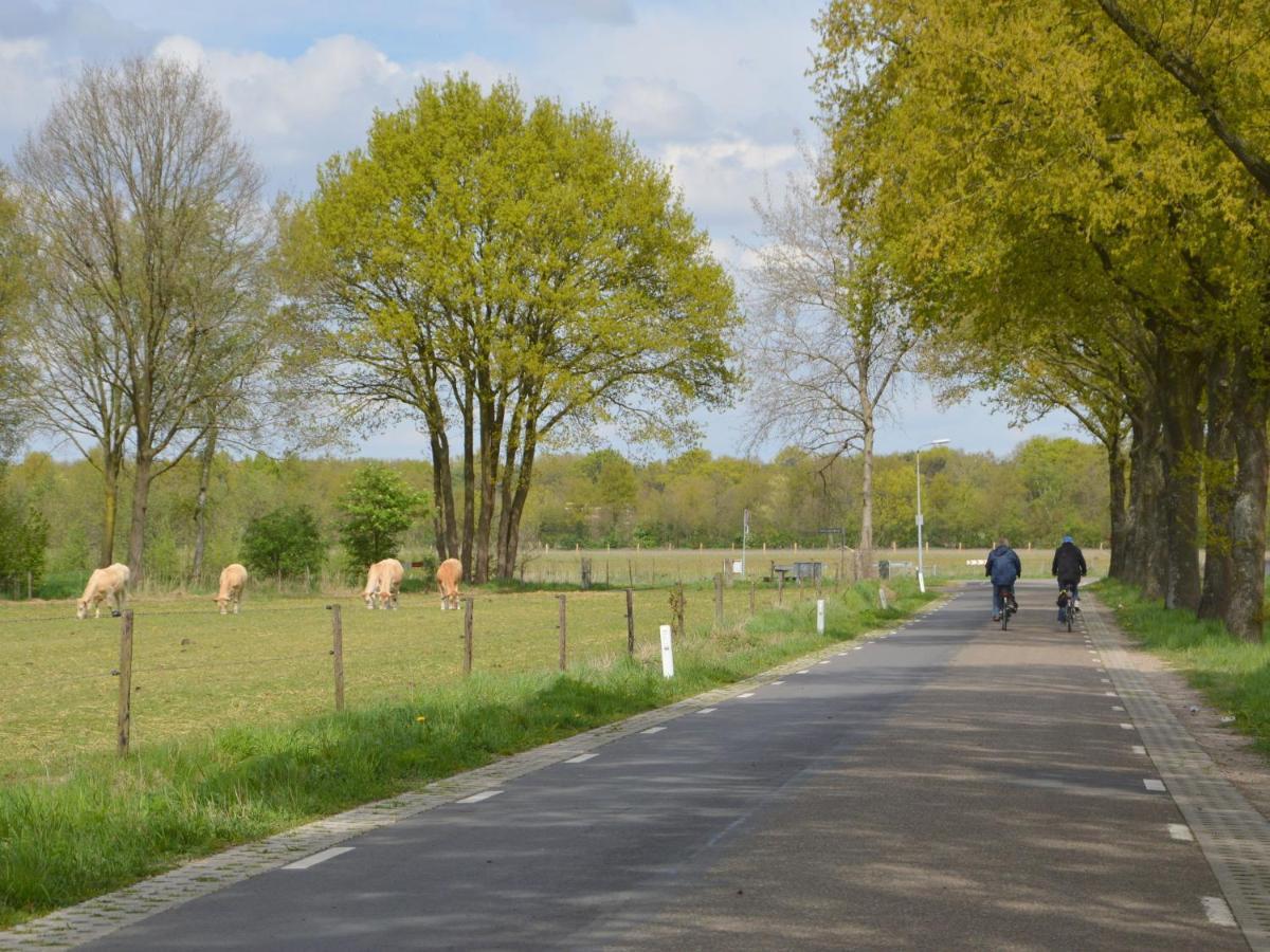 Lovely Holiday Home In Limburg Amid Lush Forest Stramproy Eksteriør bilde