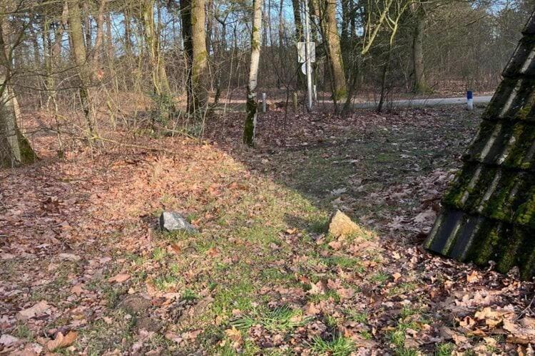 Lovely Holiday Home In Limburg Amid Lush Forest Stramproy Eksteriør bilde