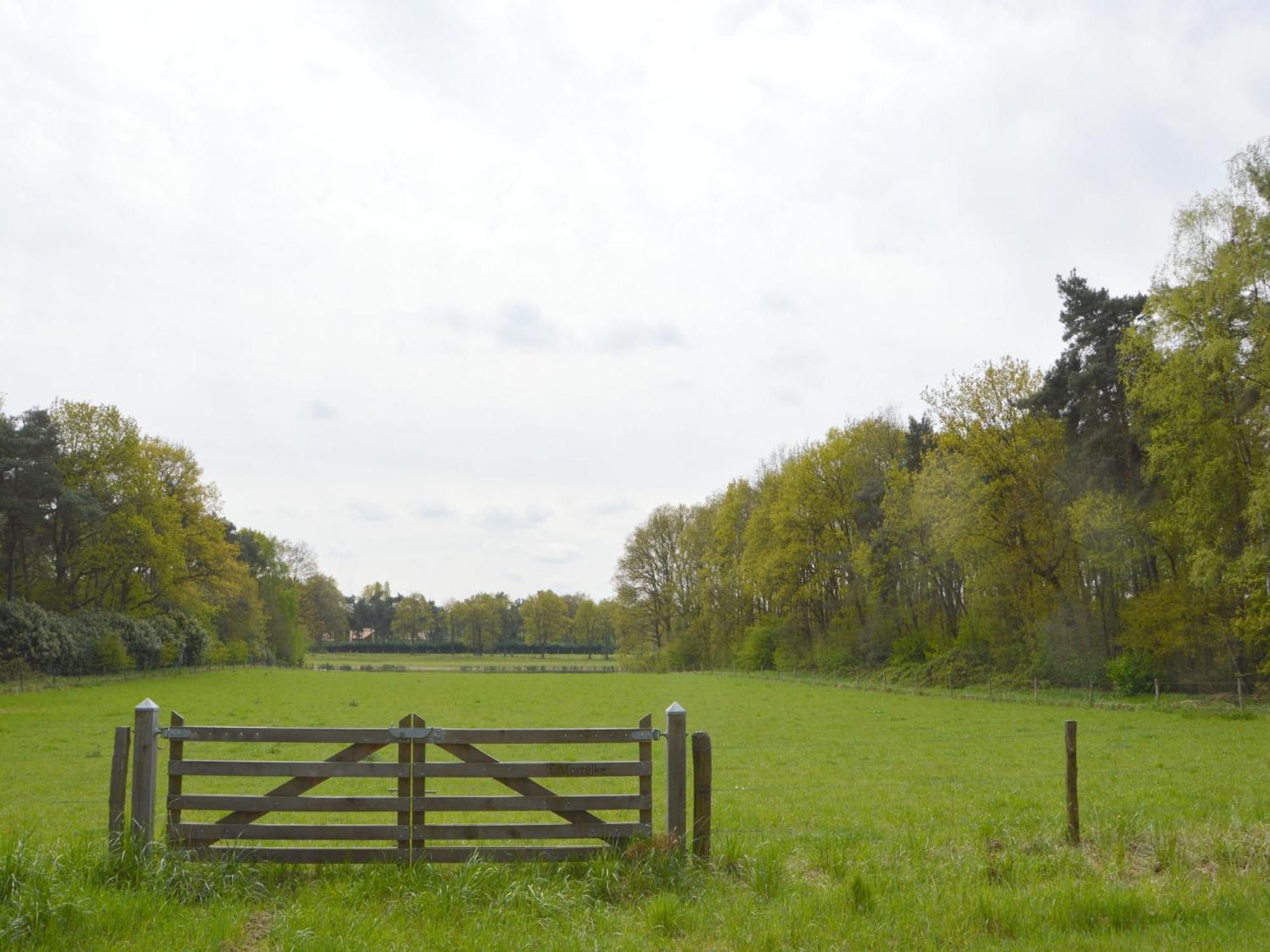 Lovely Holiday Home In Limburg Amid Lush Forest Stramproy Eksteriør bilde
